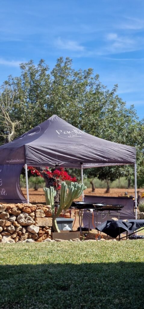 WhatsApp-Image-2024-05-08-at-10.39.00-1-scaled